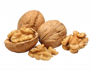 WALNUT
