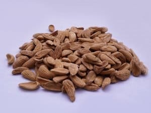 Iranian Mamra Almonds