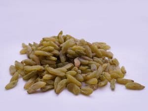 Raisen sundekhani Afghani