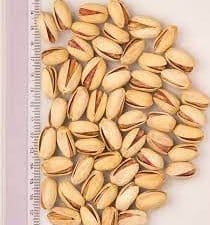 Pistachio in shell akbari