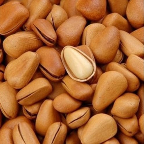 pine-nuts-in-shell-500x500