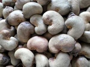 raw-cashew-nuts-28rcn-29-benin-origin-500x500