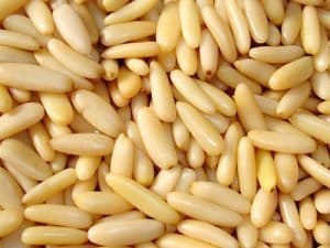 Pine nuts kernels